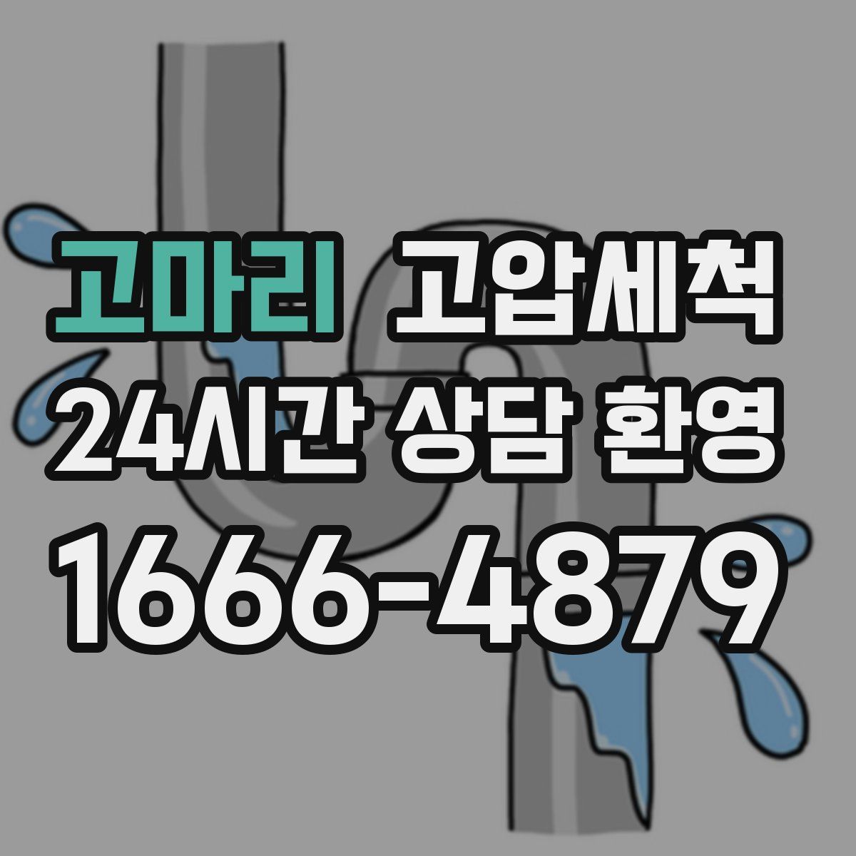 고마리 고압세척