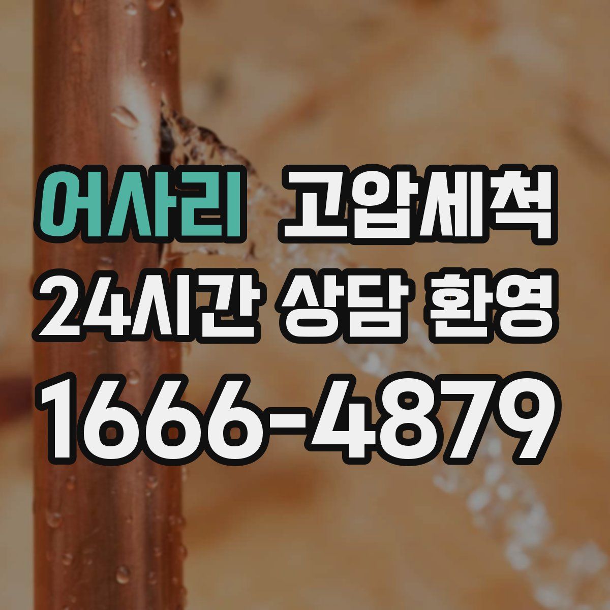 어사리 고압세척