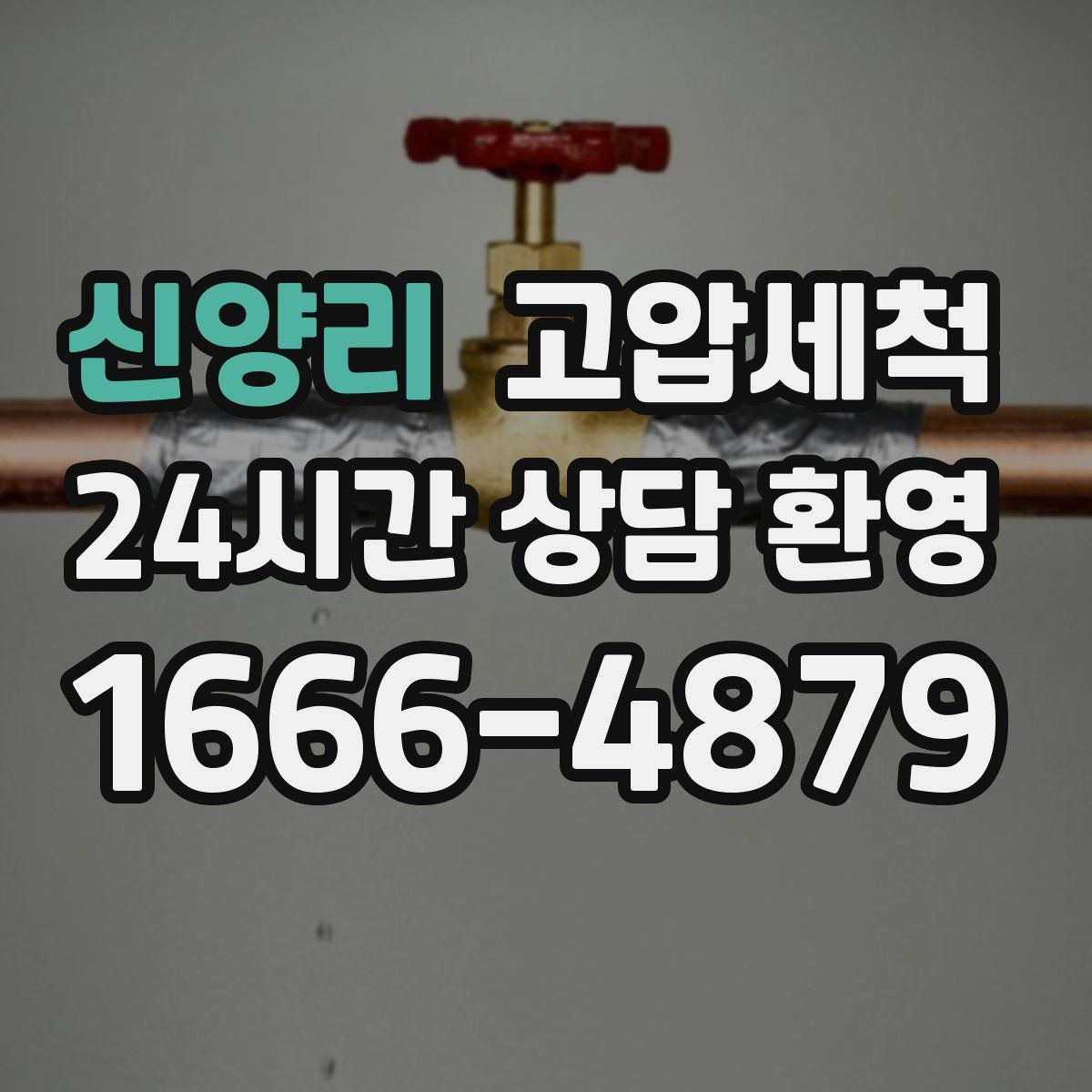 신양리 고압세척