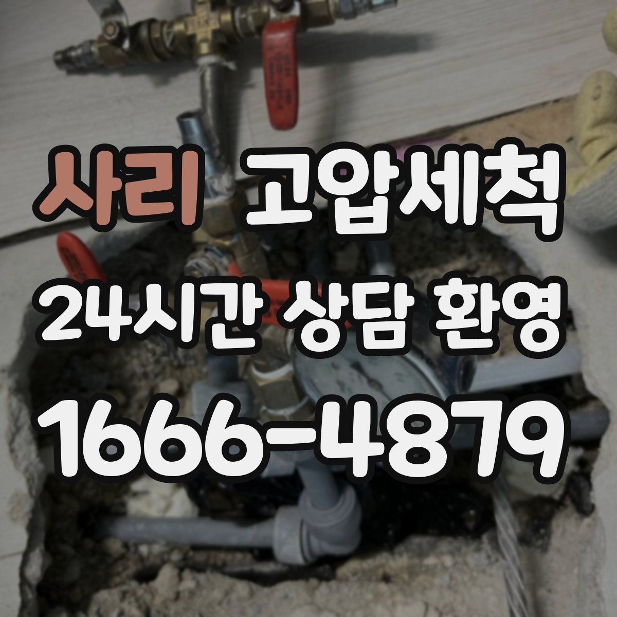 사리 고압세척