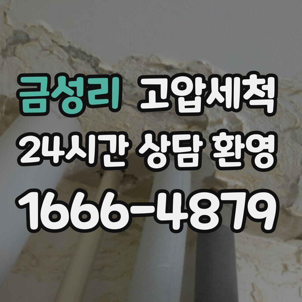 금성리 고압세척