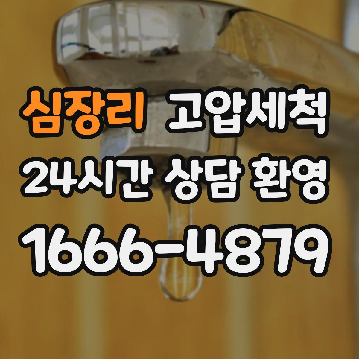 심장리 고압세척