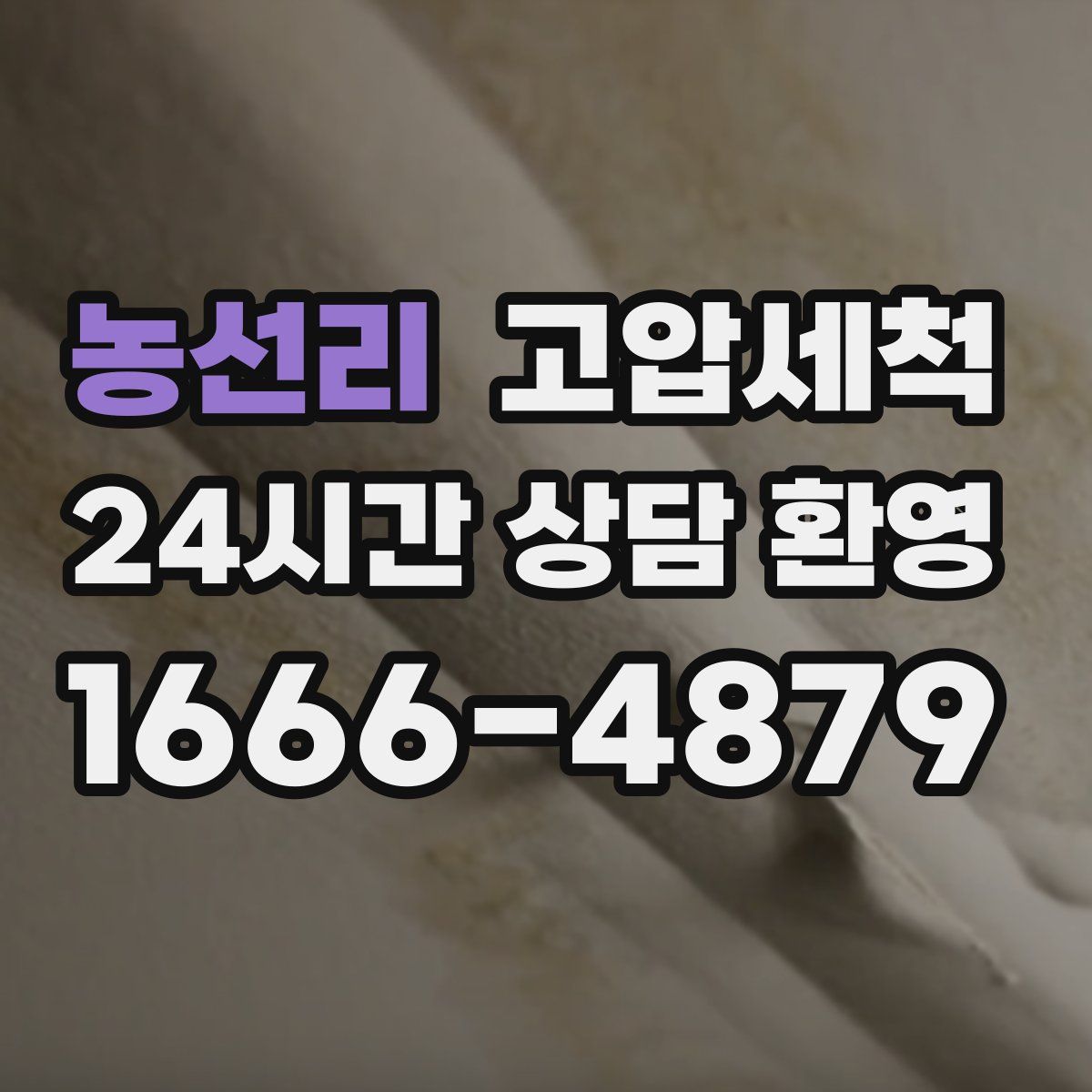 농선리 고압세척