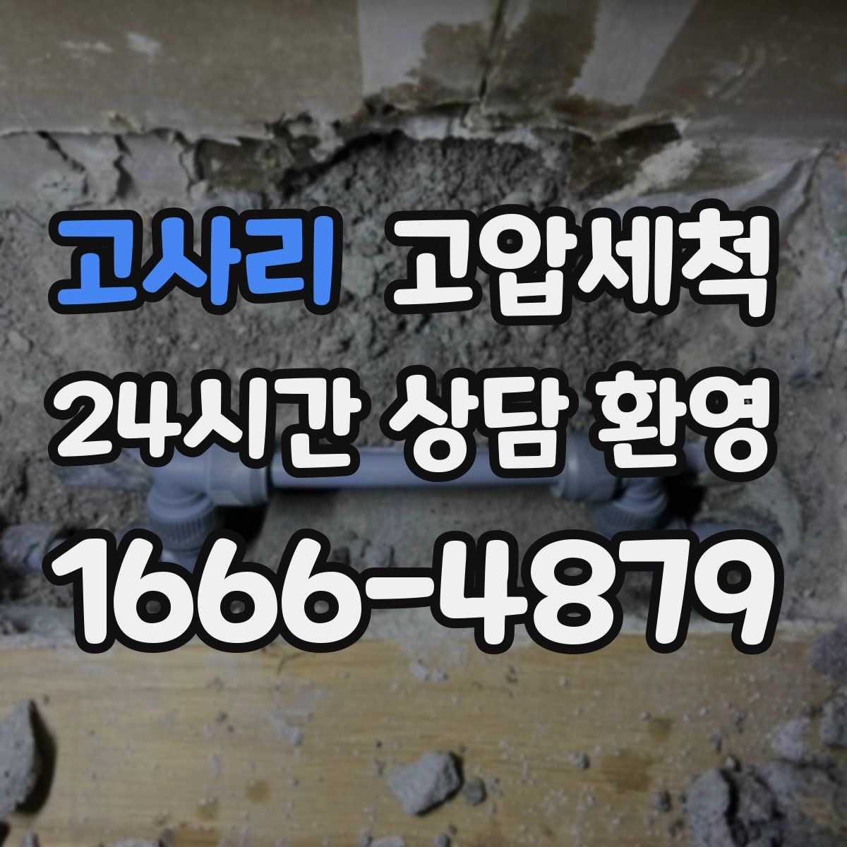 고사리 고압세척