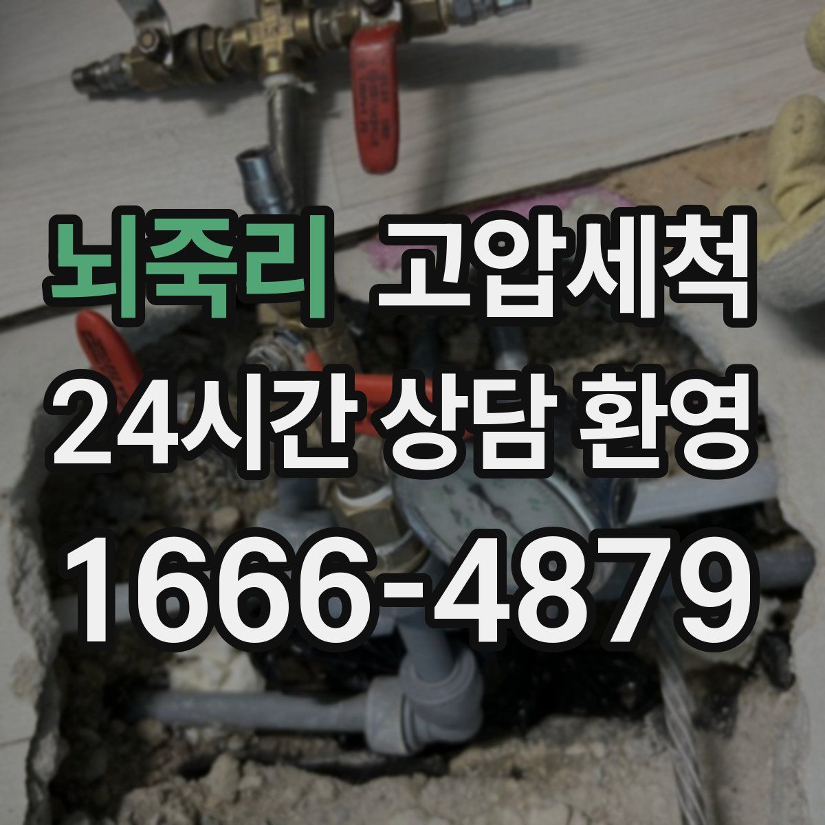 뇌죽리 고압세척