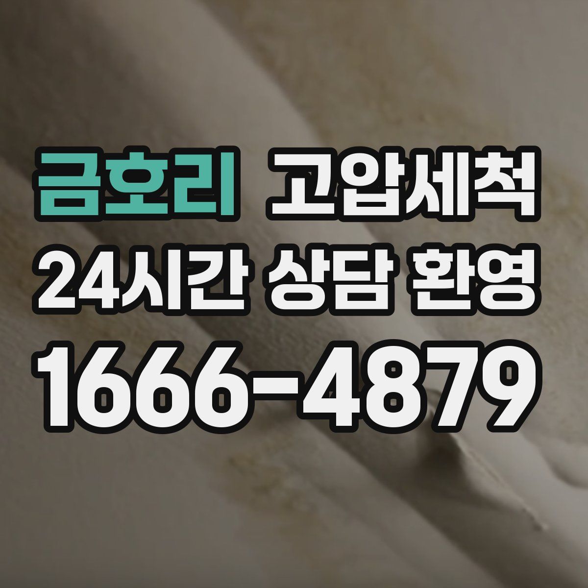 금호리 고압세척