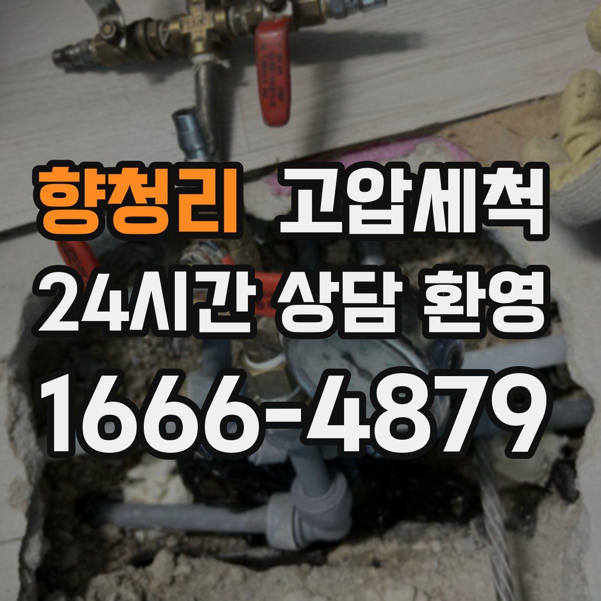 향청리 고압세척