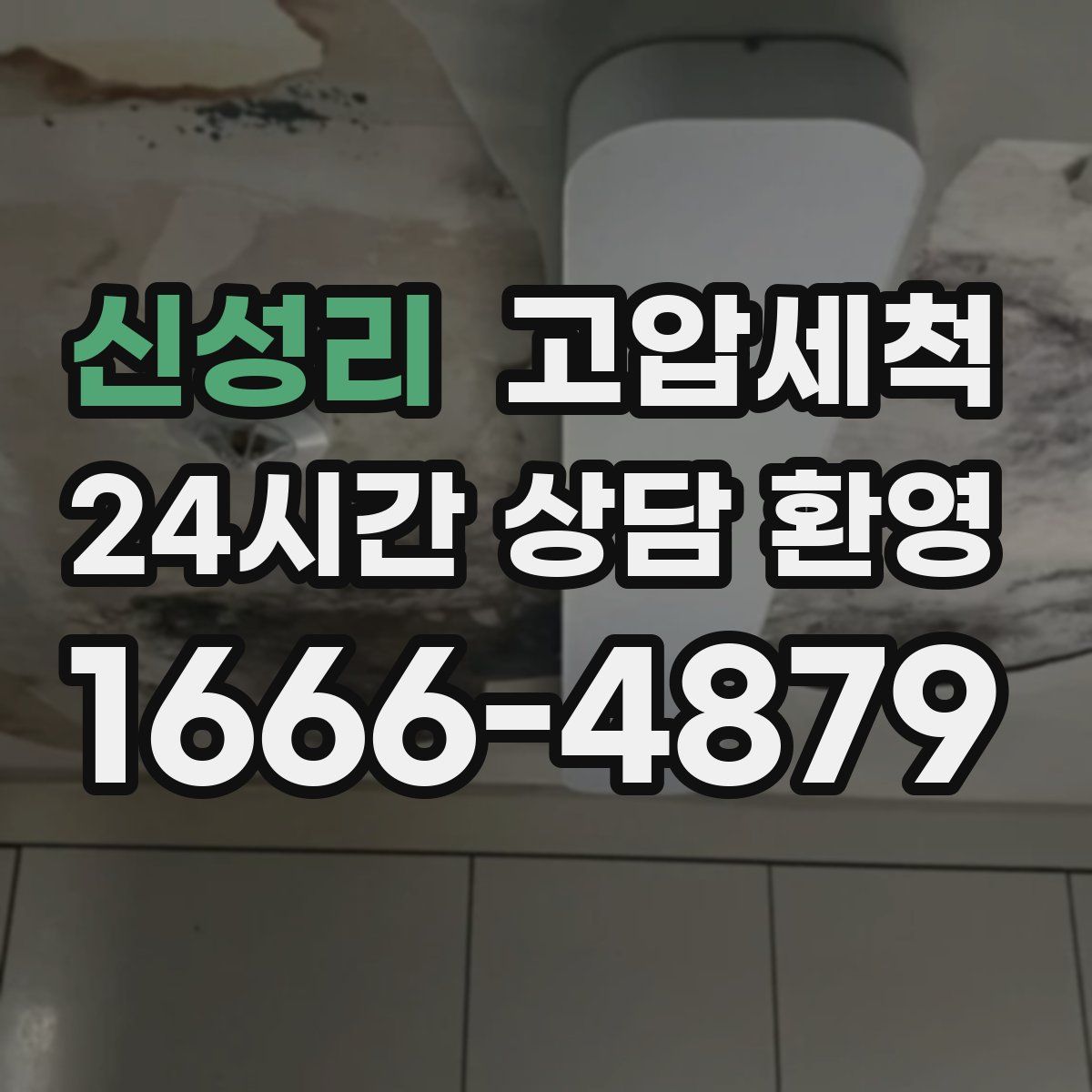 신성리 고압세척