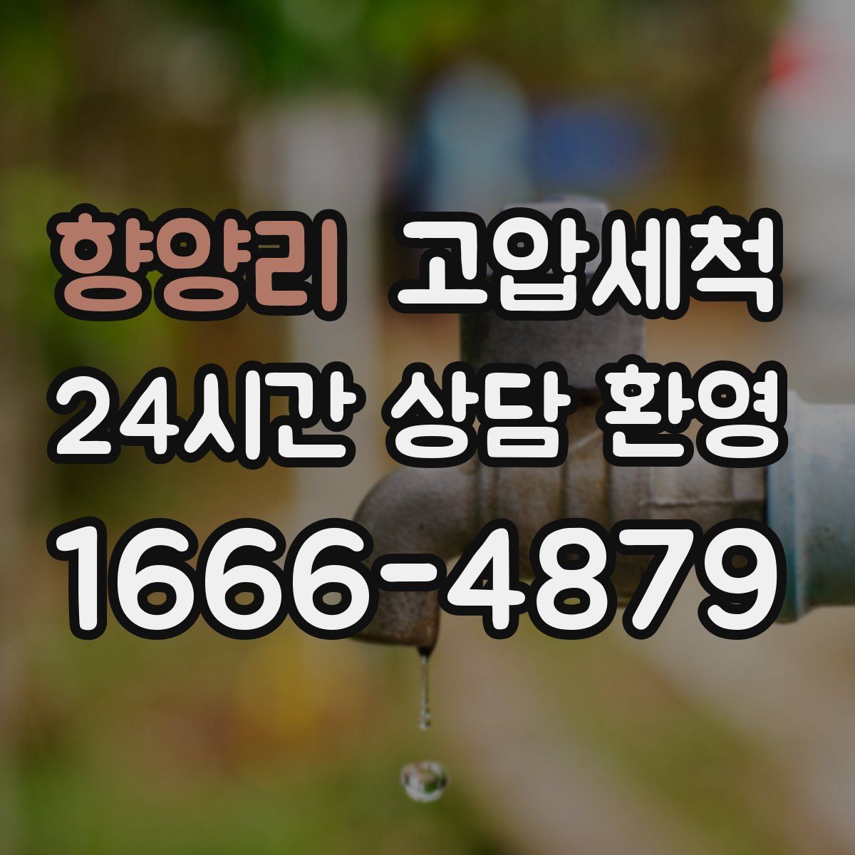 향양리 고압세척