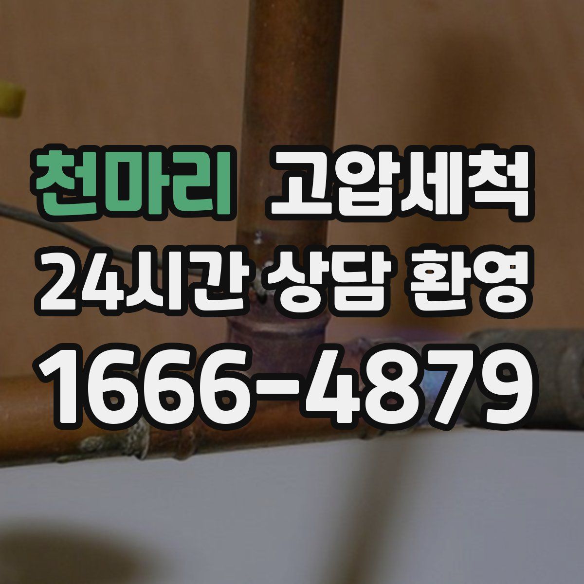 천마리 고압세척