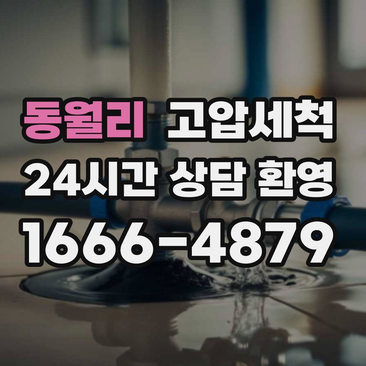 동월리 고압세척