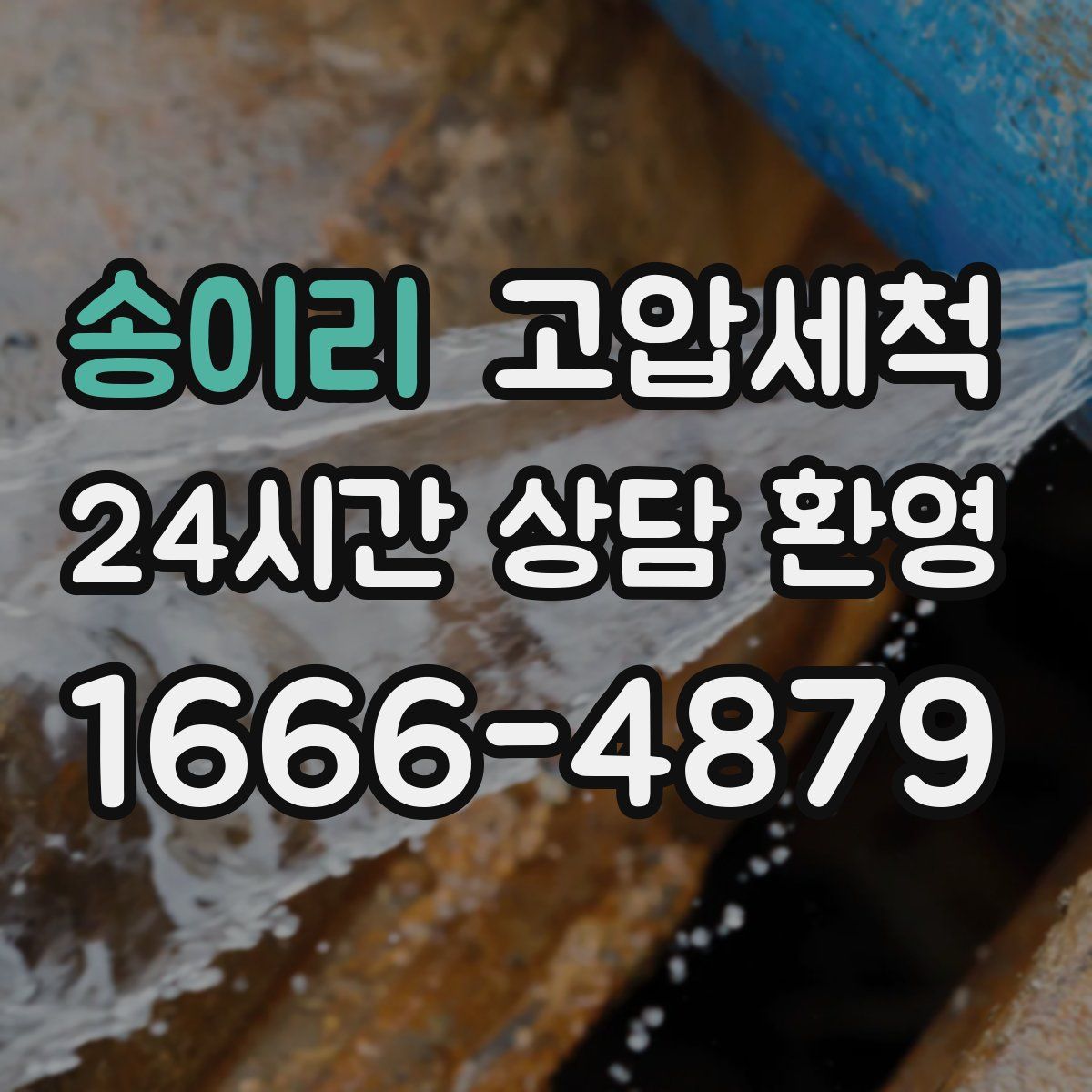 송이리 고압세척