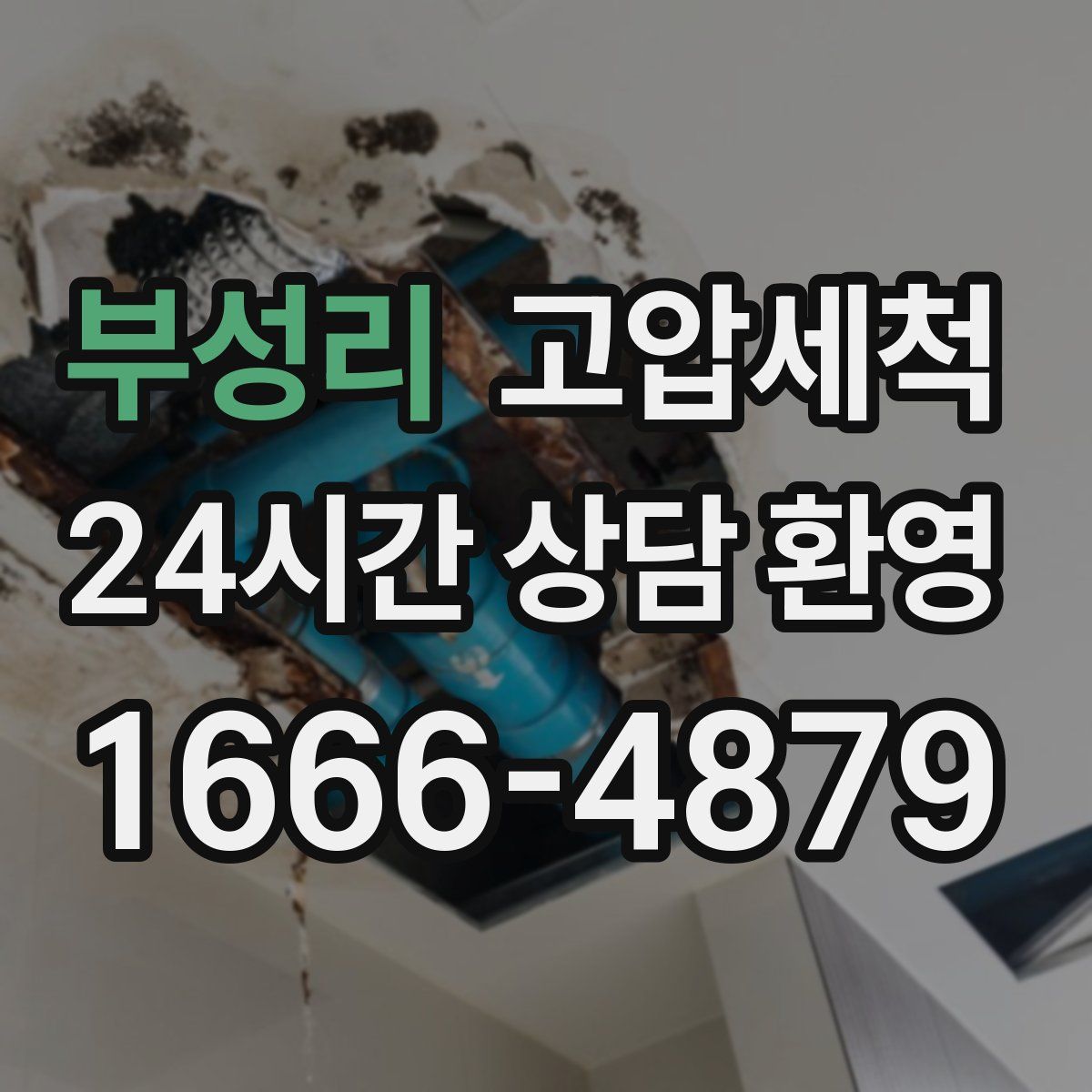 부성리 고압세척