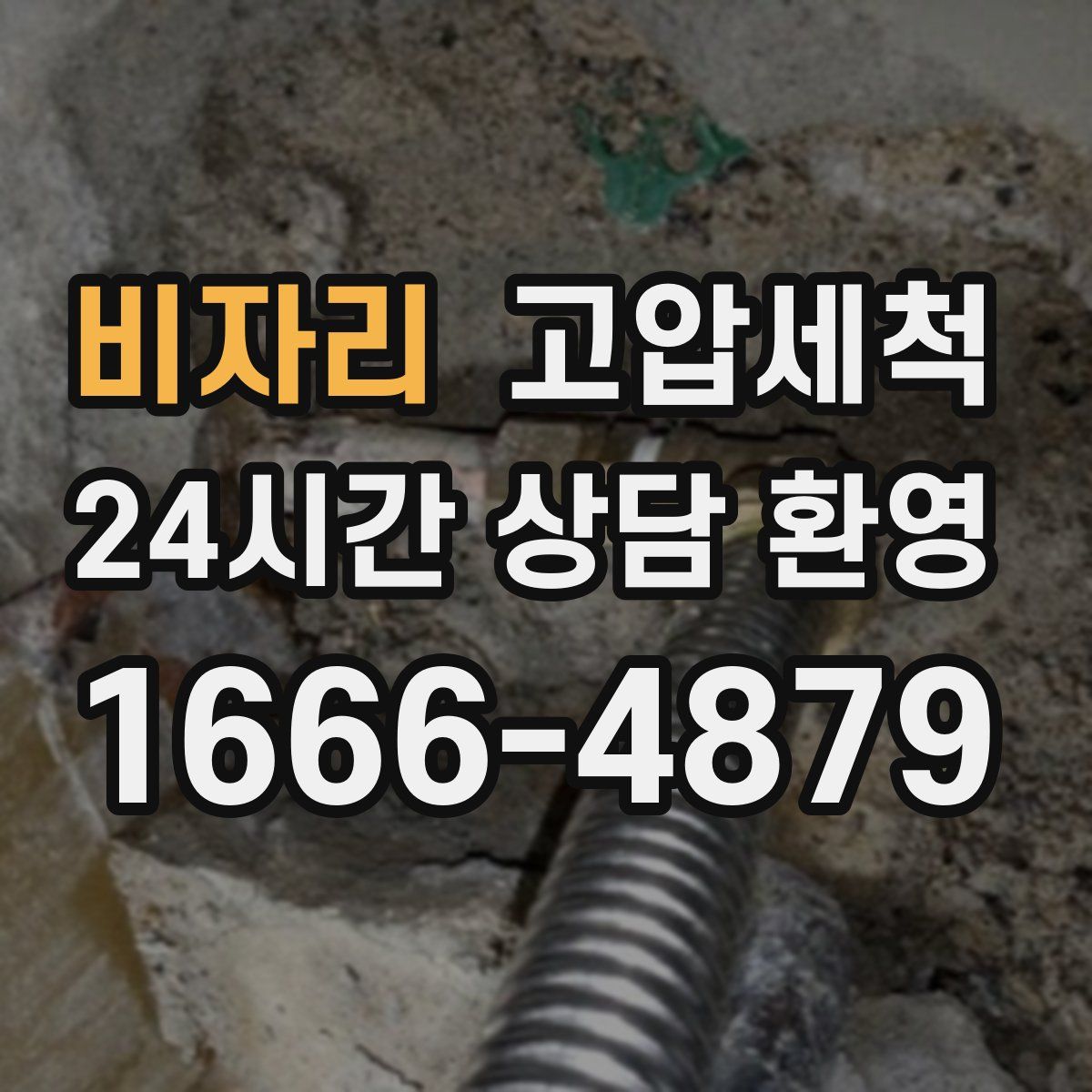 비자리 고압세척
