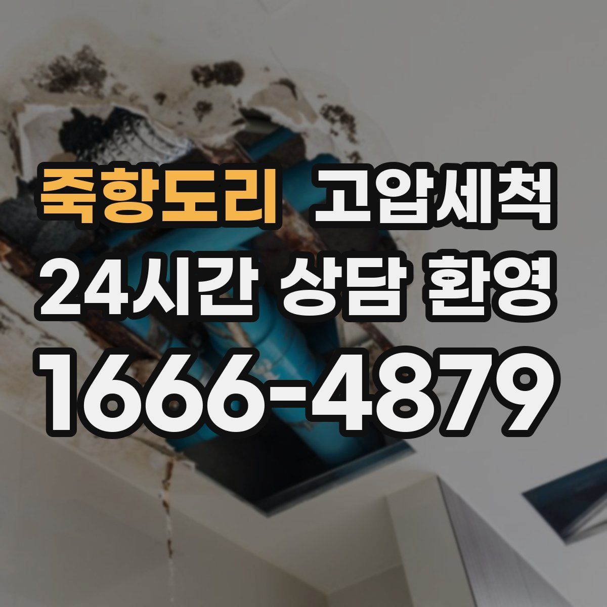 죽항도리 고압세척