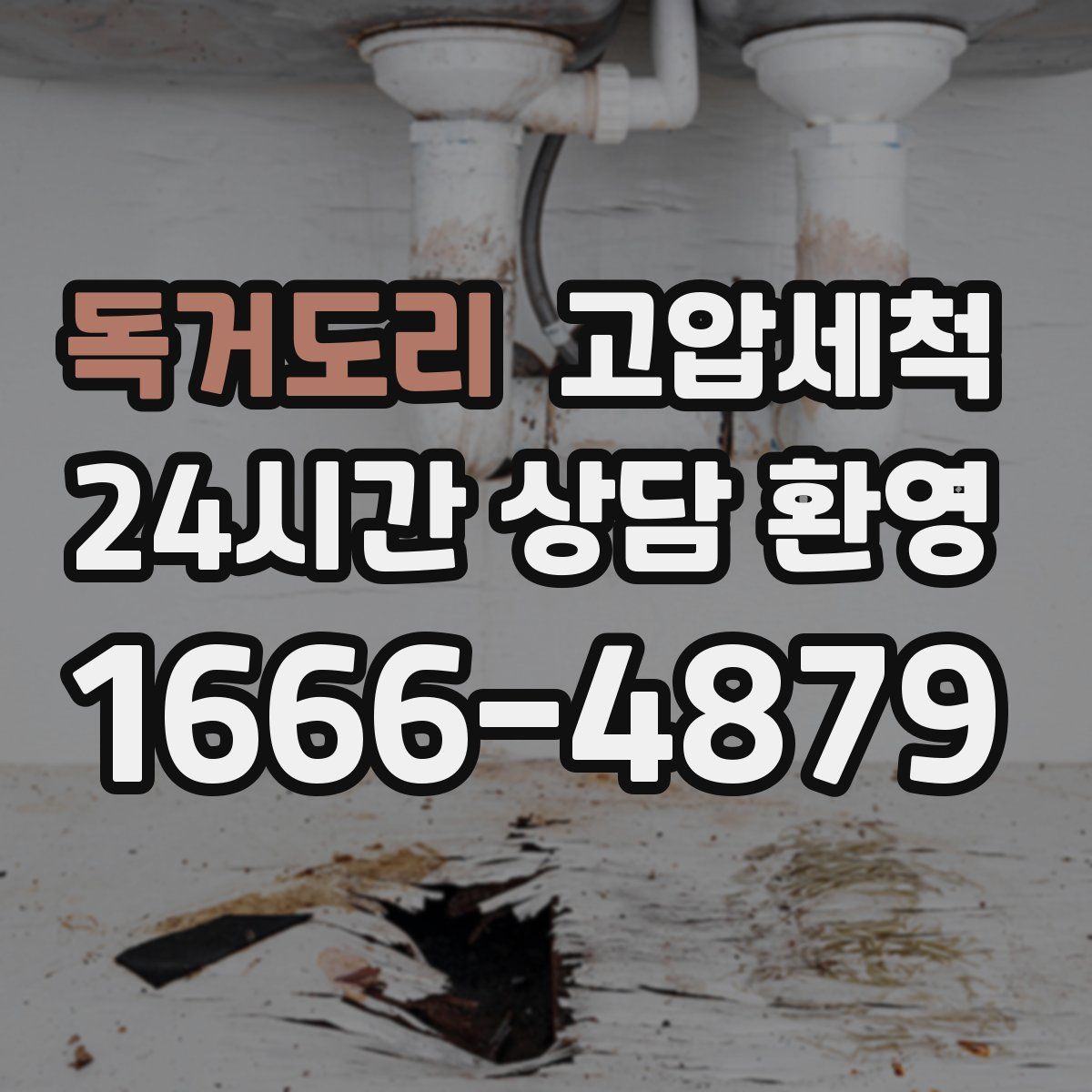 독거도리 고압세척