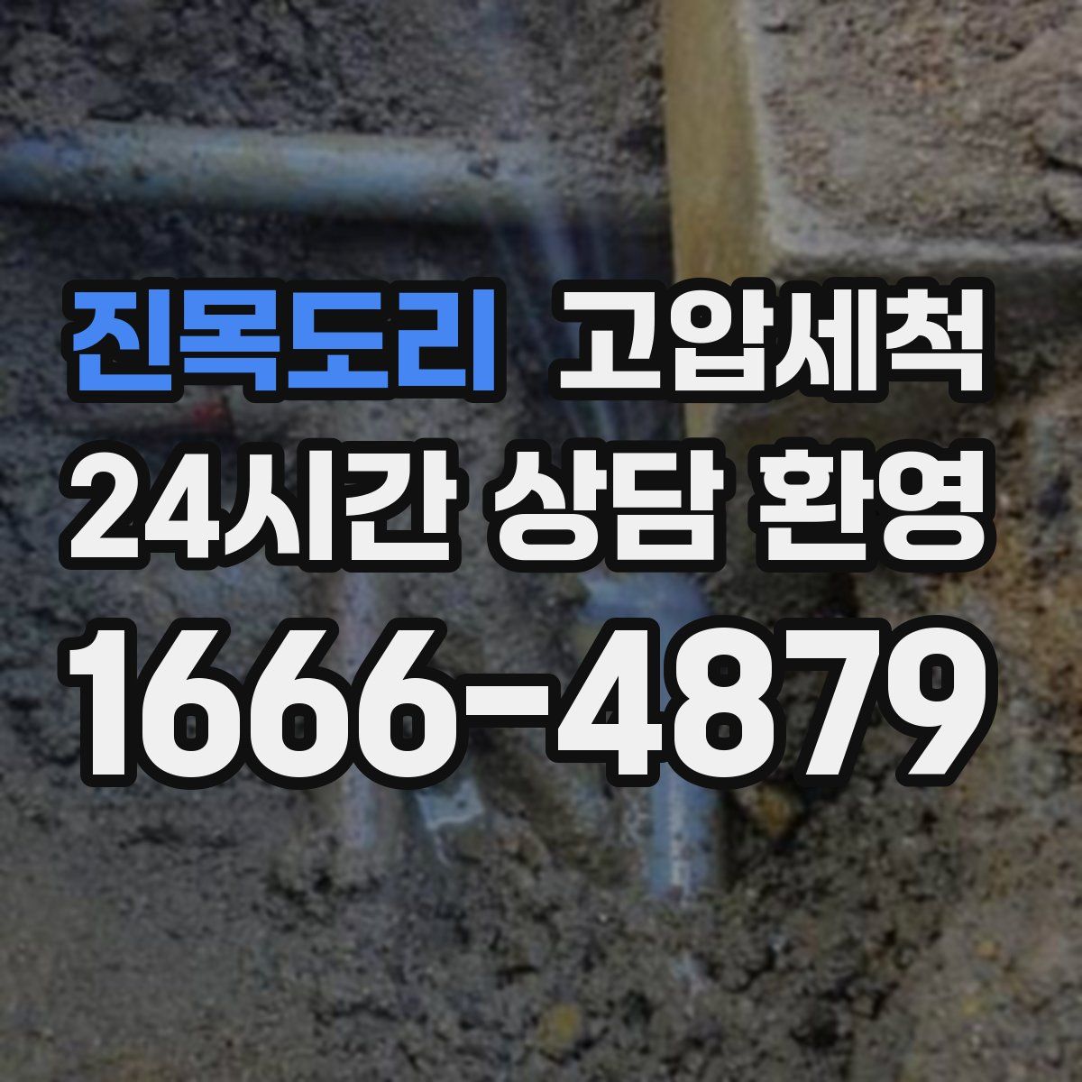 진목도리 고압세척