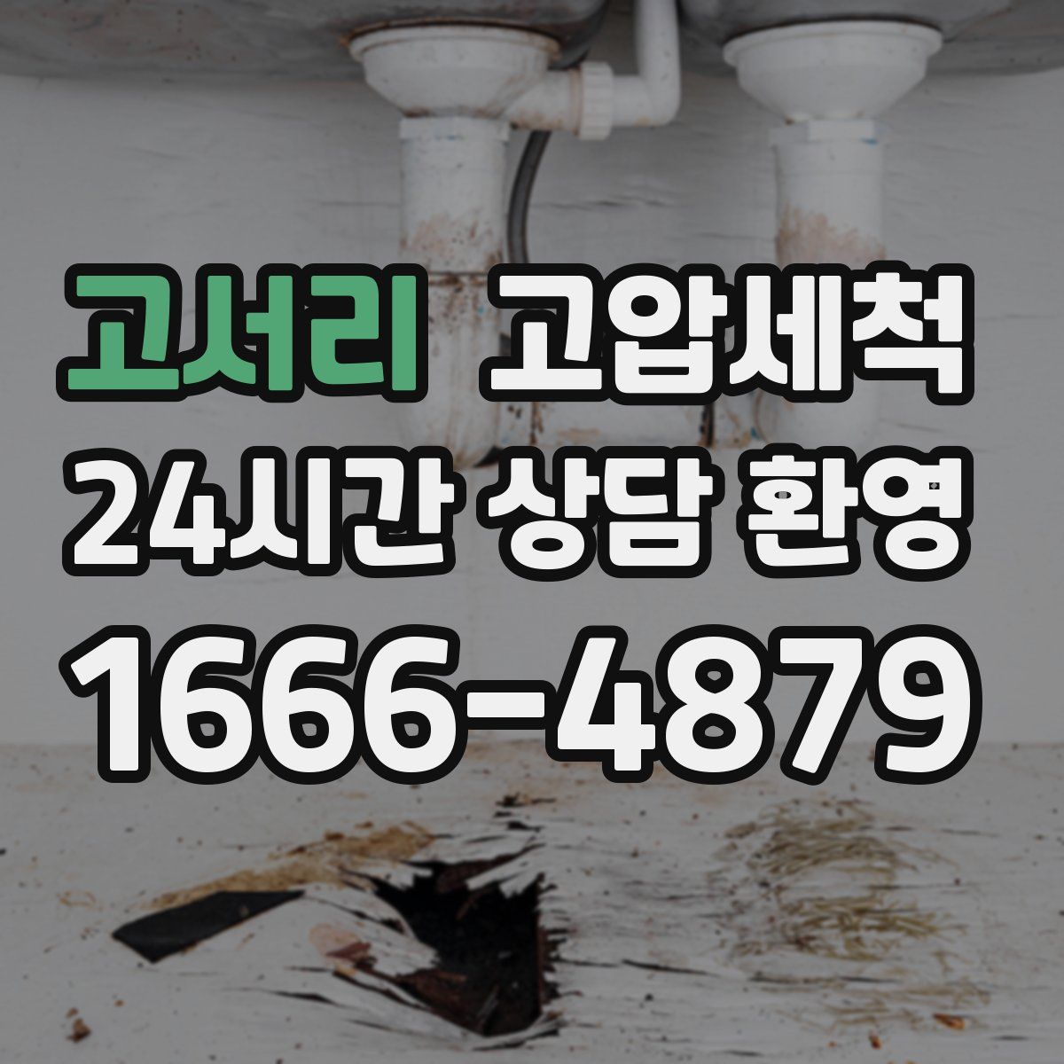 고서리 고압세척
