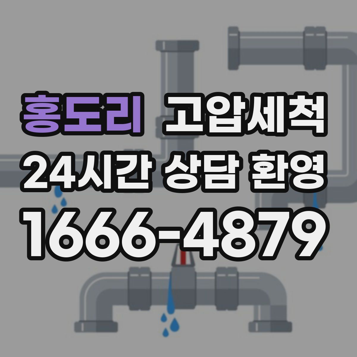 홍도리 고압세척