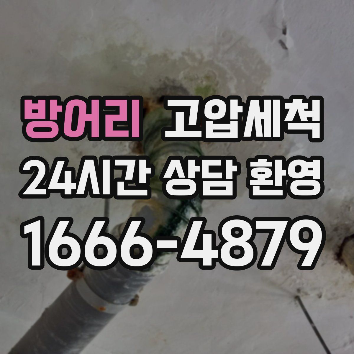 방어리 고압세척