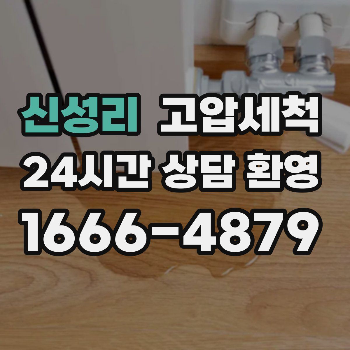 신성리 고압세척