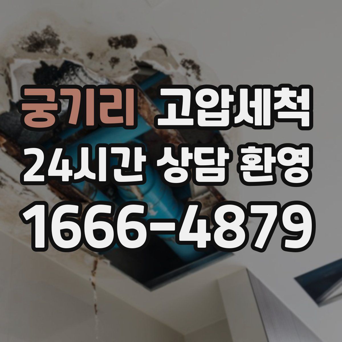 궁기리 고압세척