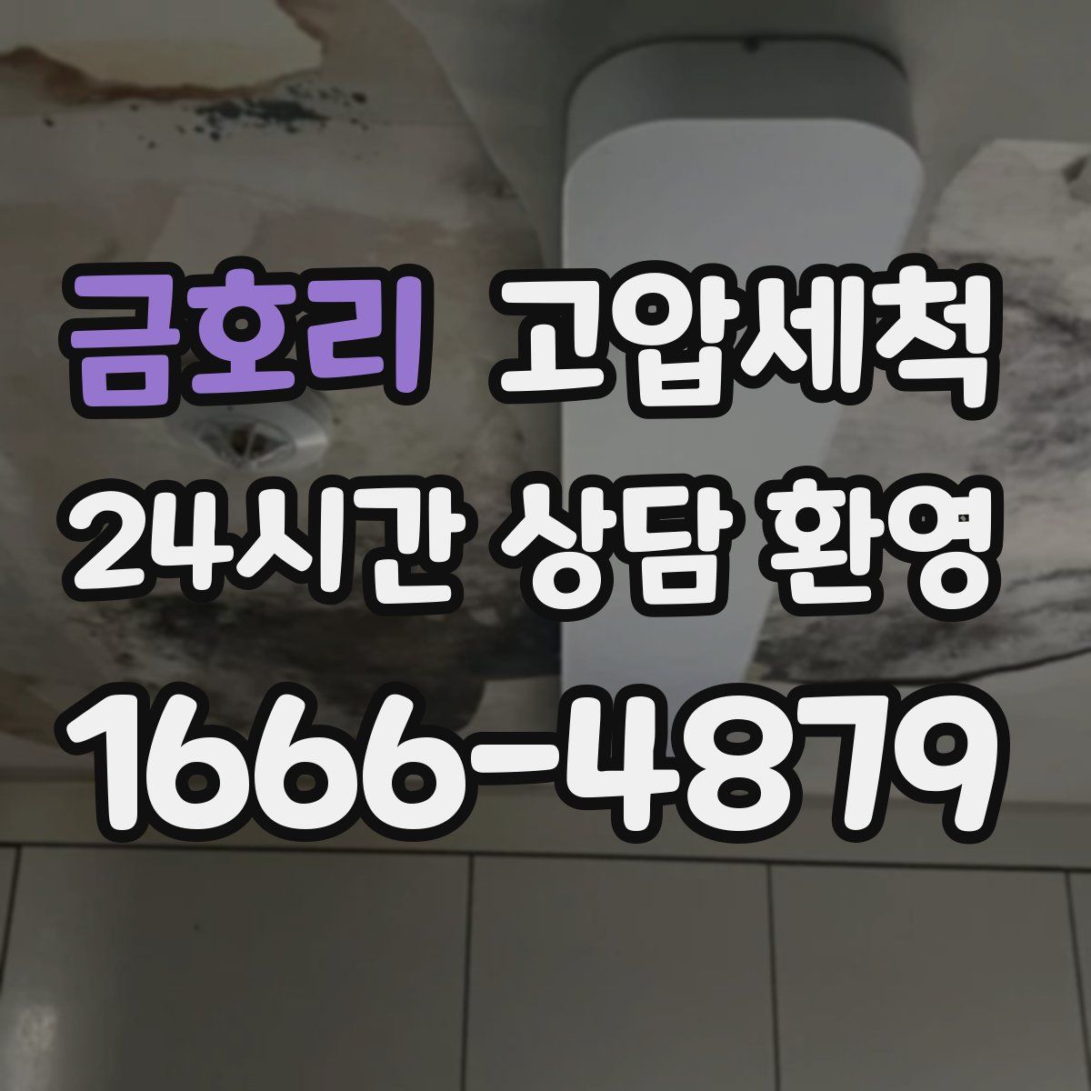 금호리 고압세척