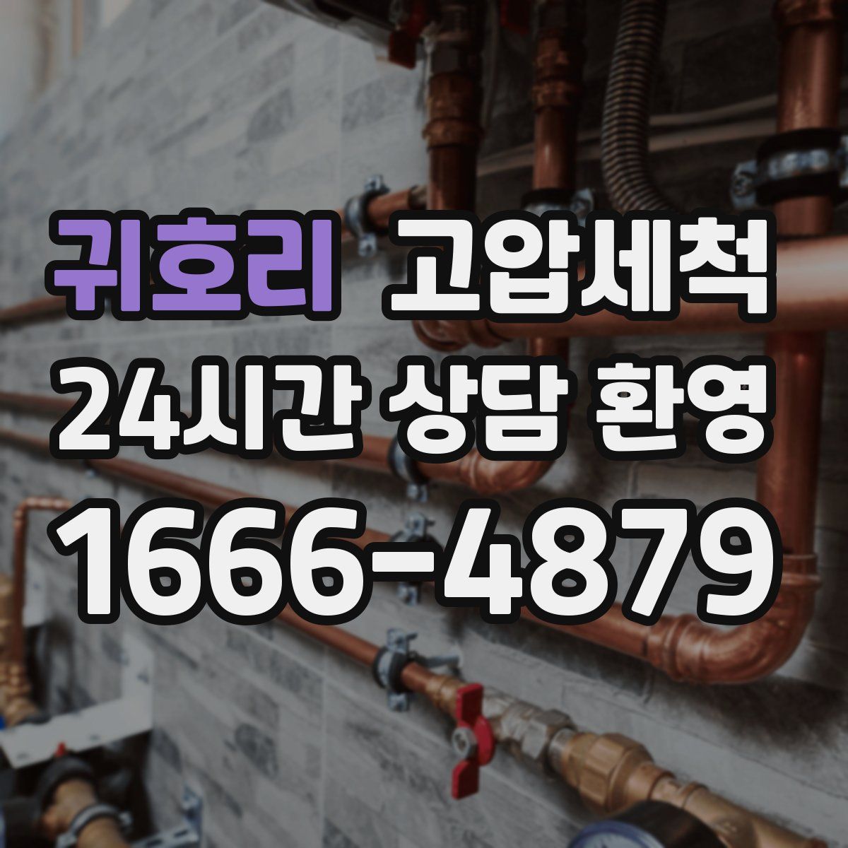 귀호리 고압세척