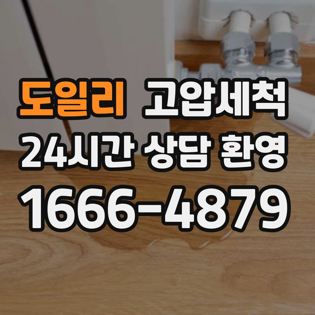 도일리 고압세척