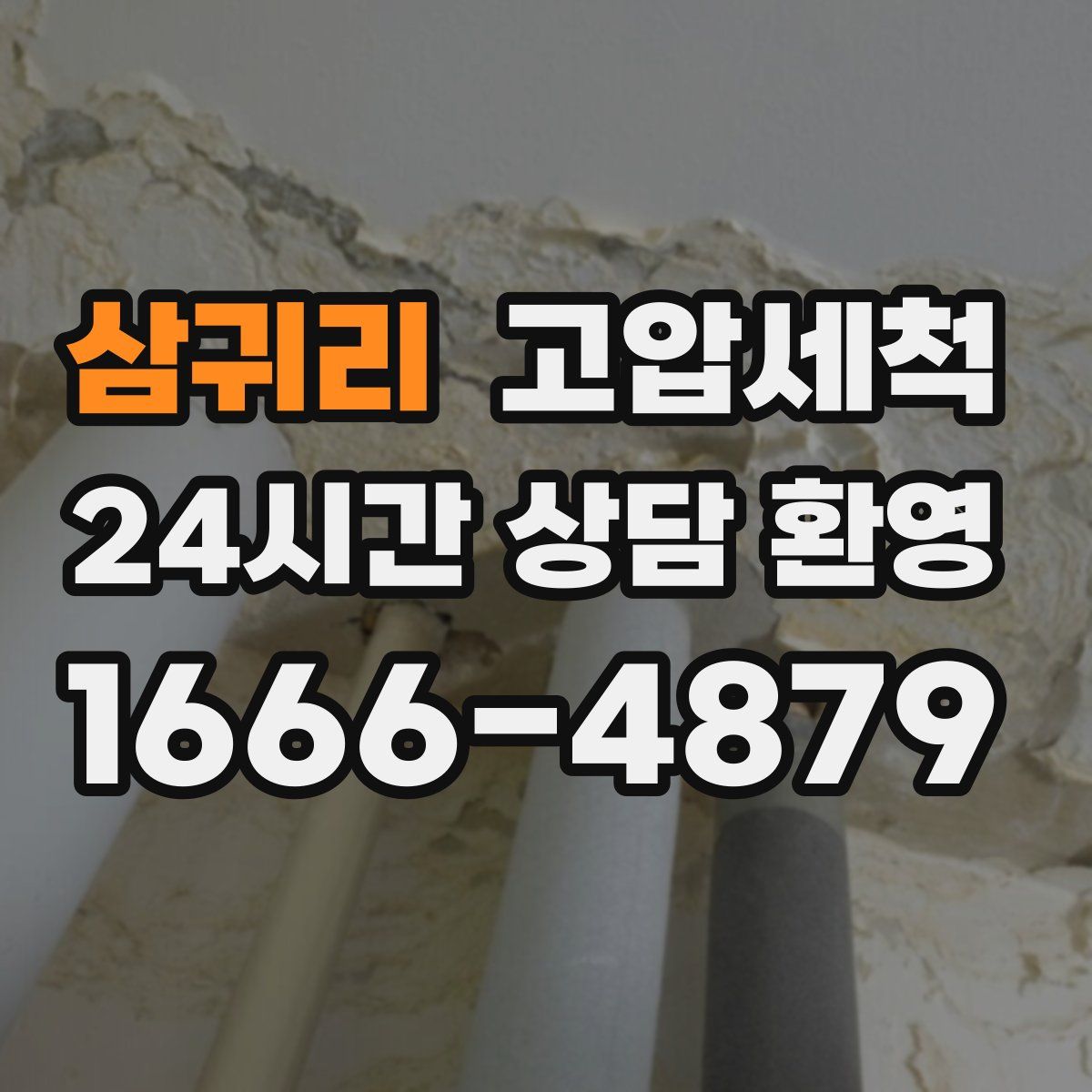 삼귀리 고압세척