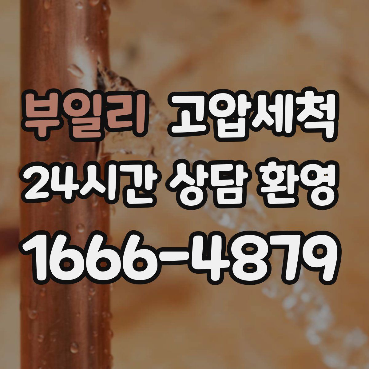 부일리 고압세척