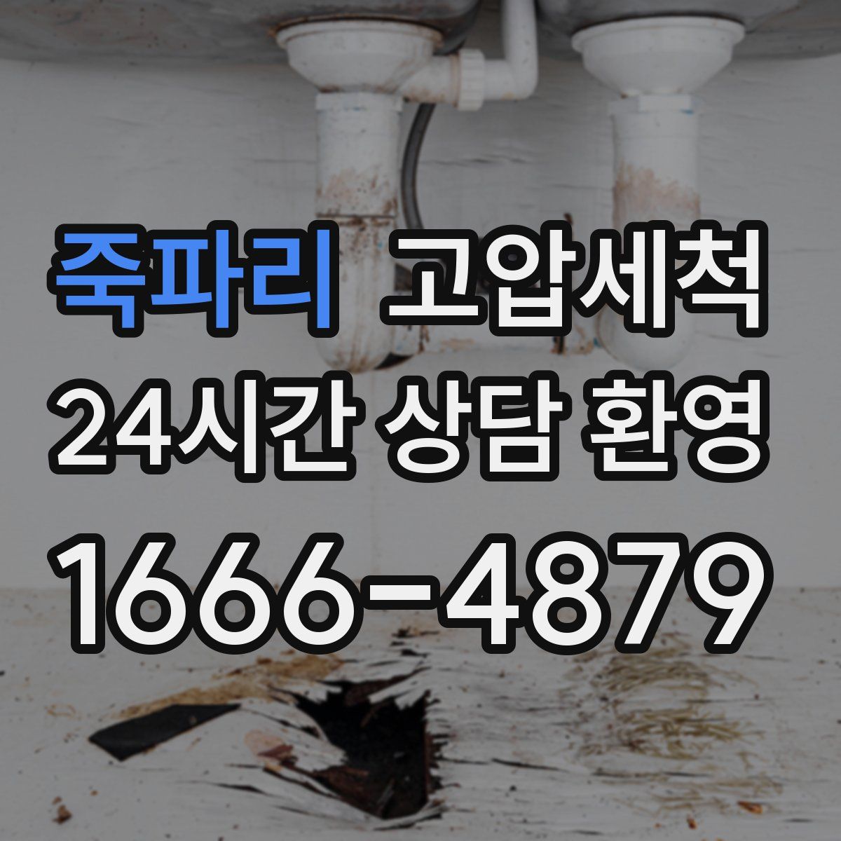 죽파리 고압세척