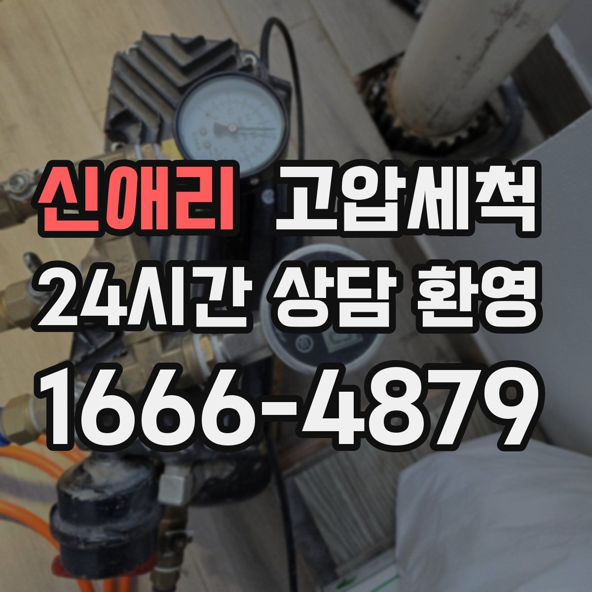 신애리 고압세척