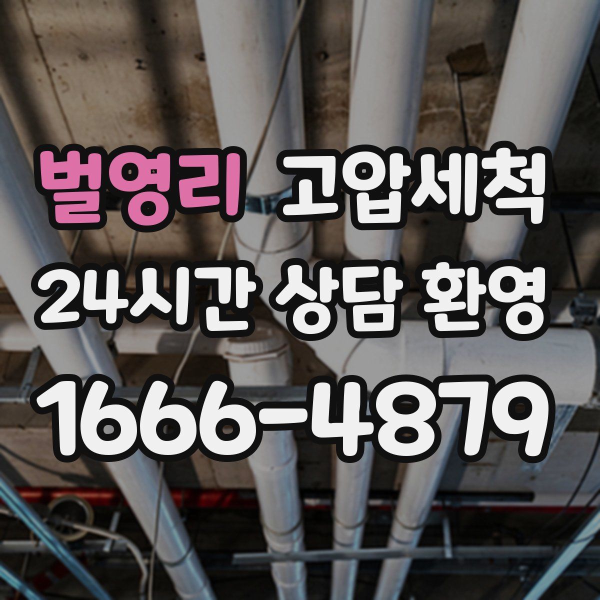 벌영리 고압세척