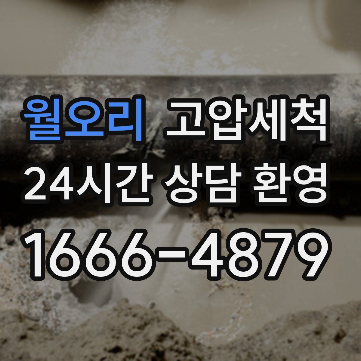 월오리 고압세척