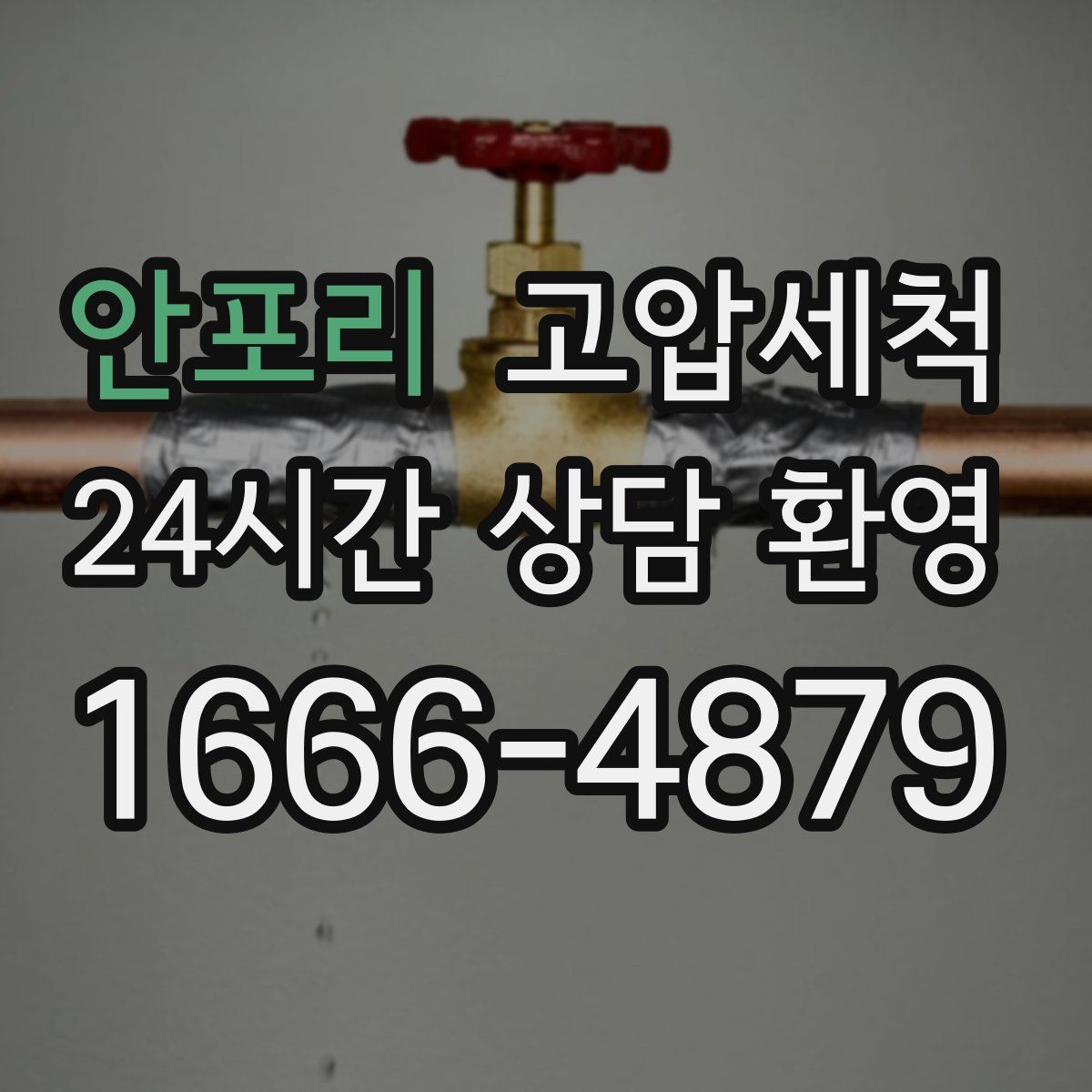 안포리 고압세척