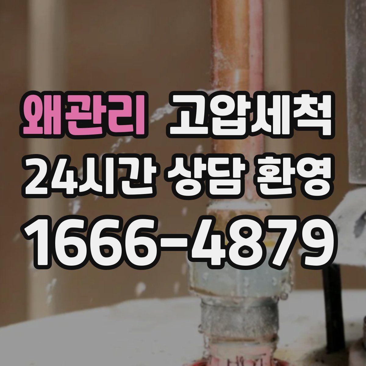 왜관리 고압세척