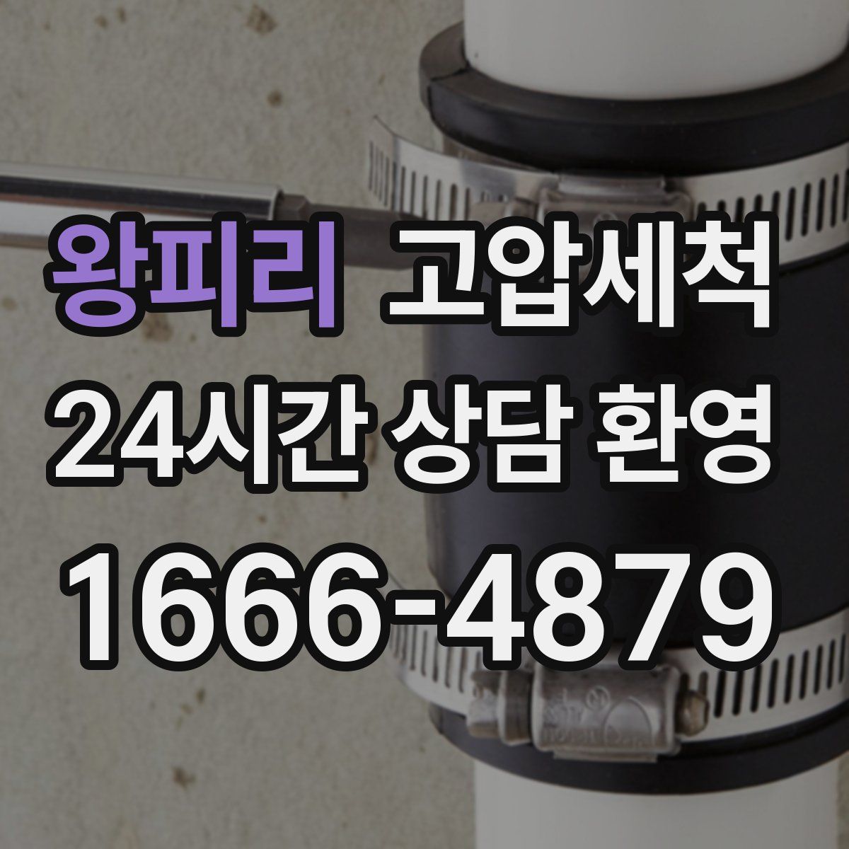 왕피리 고압세척