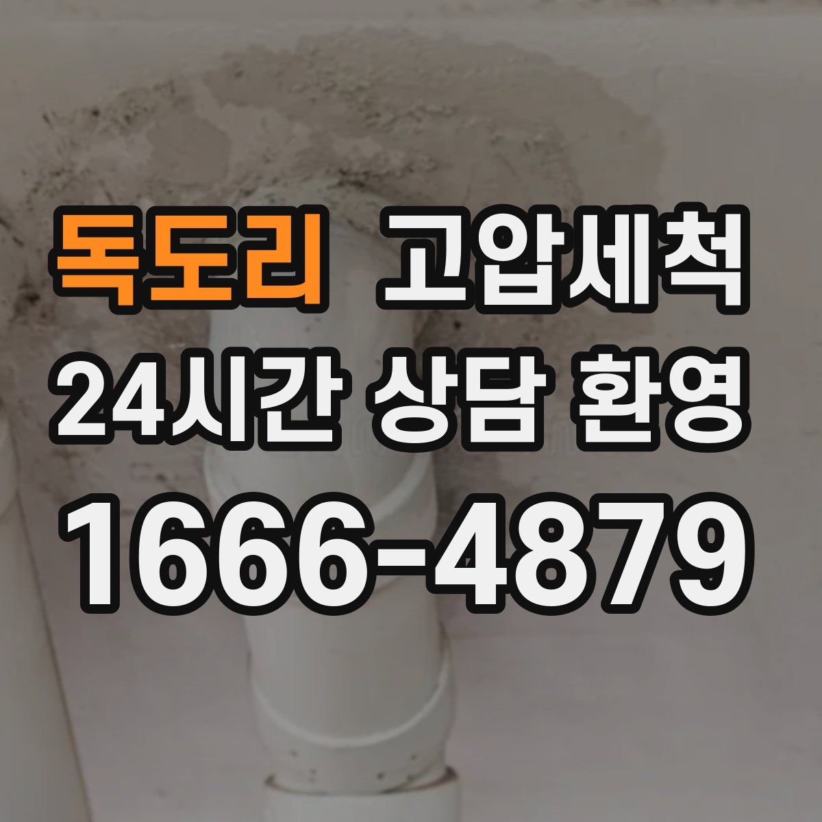 독도리 고압세척