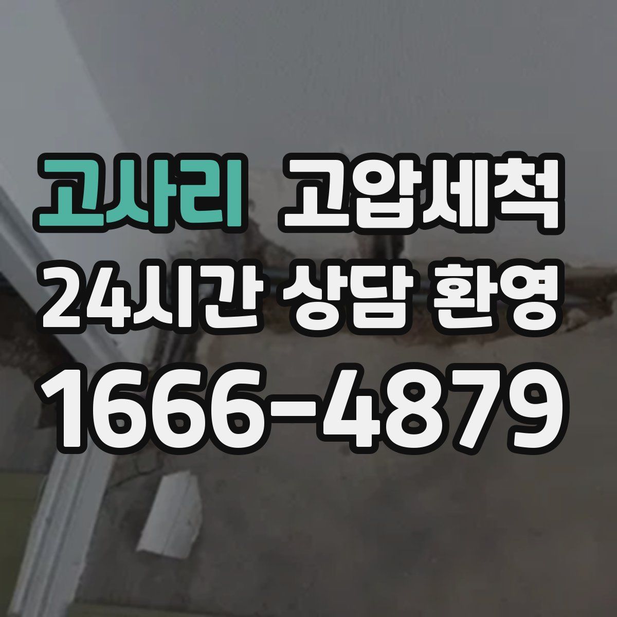 고사리 고압세척