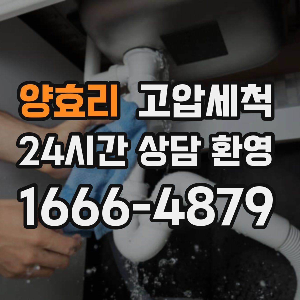 양효리 고압세척