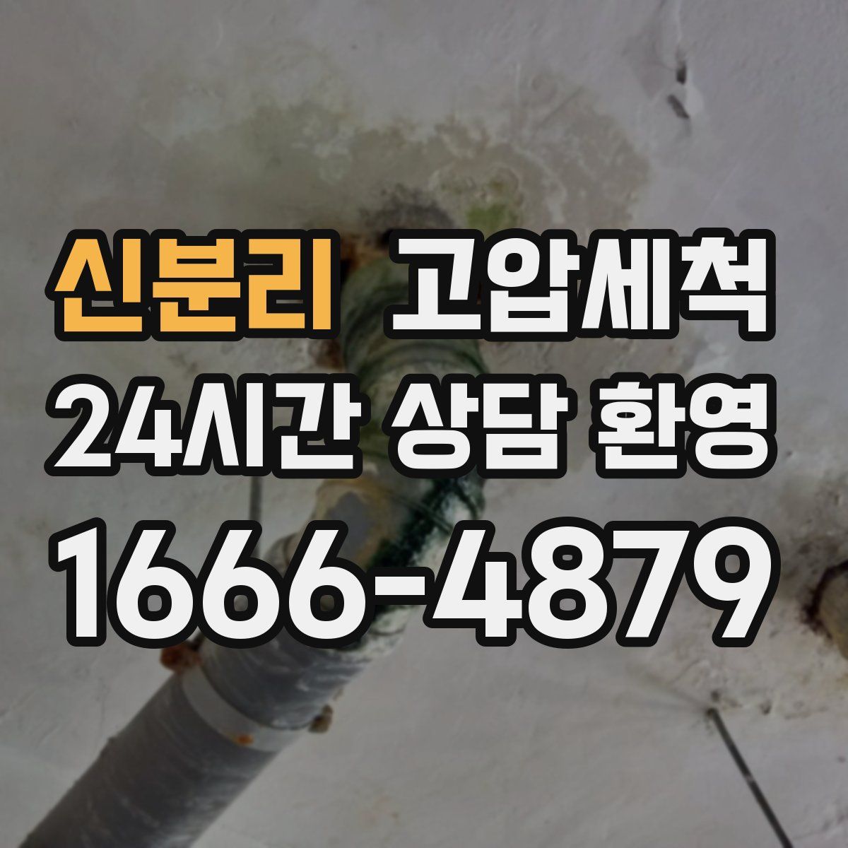 신분리 고압세척