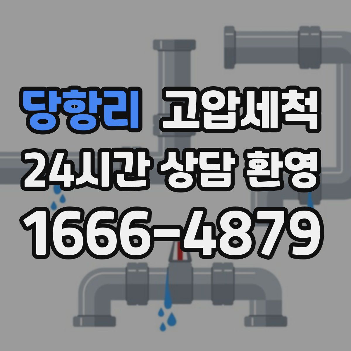 당항리 고압세척