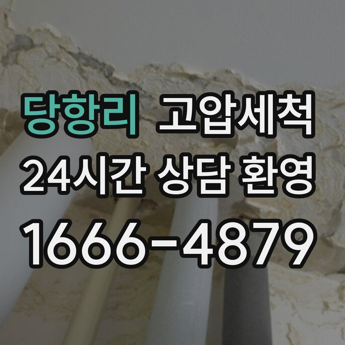 당항리 고압세척