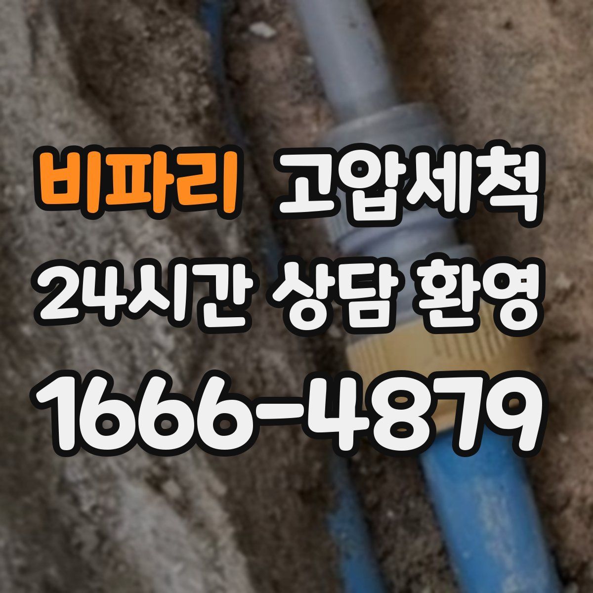 비파리 고압세척