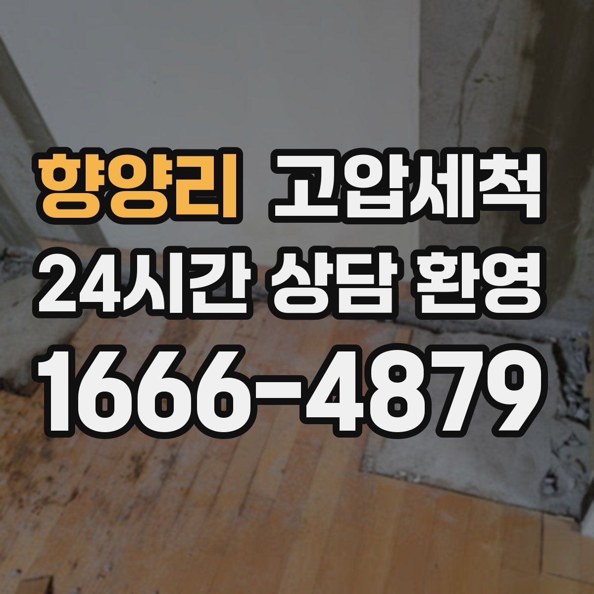 향양리 고압세척