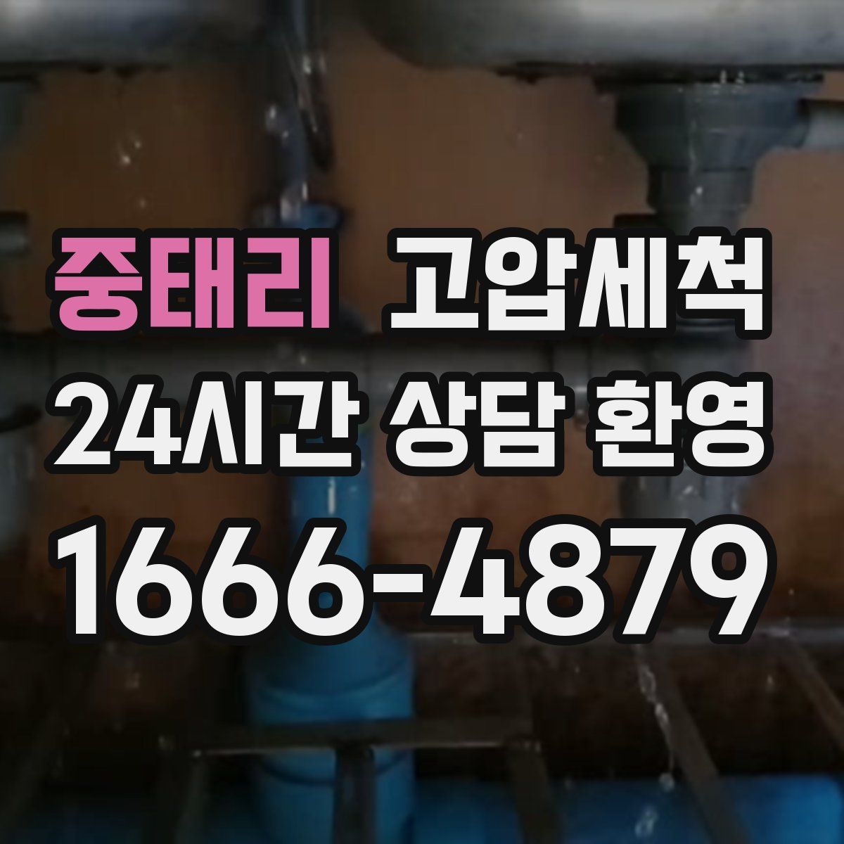 중태리 고압세척