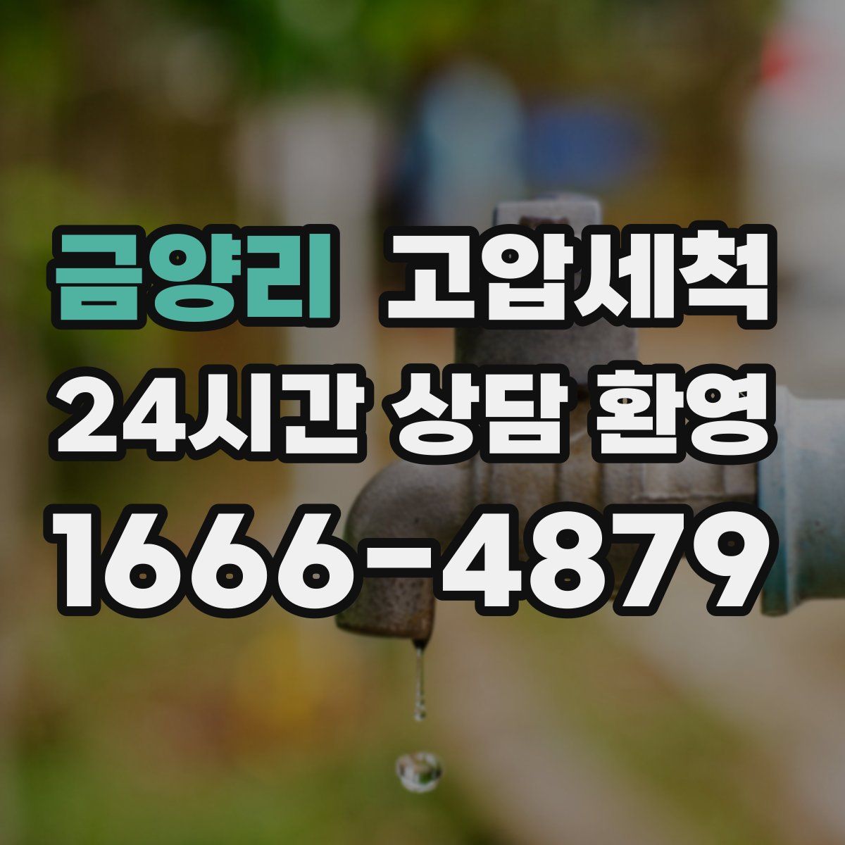 금양리 고압세척