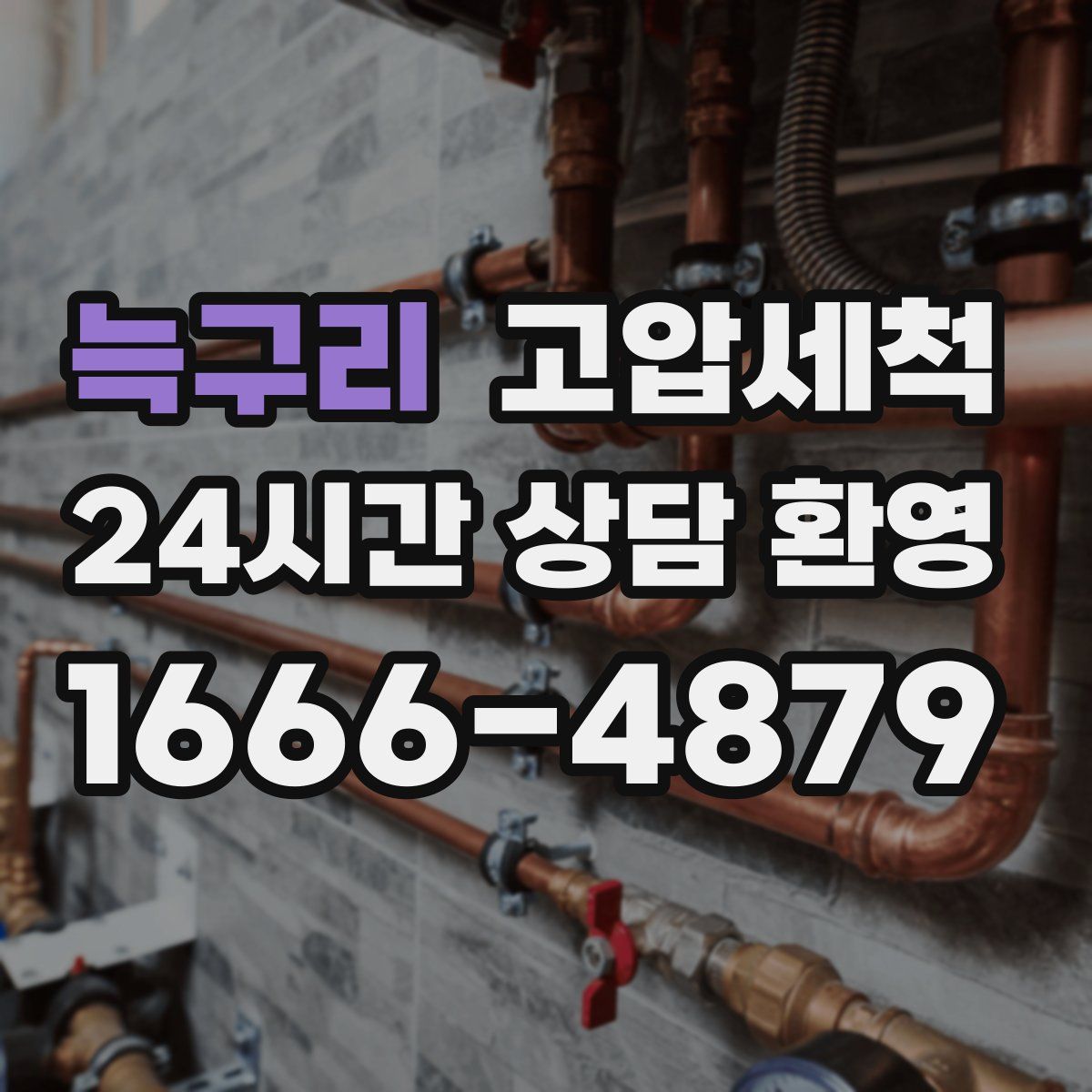 늑구리 고압세척