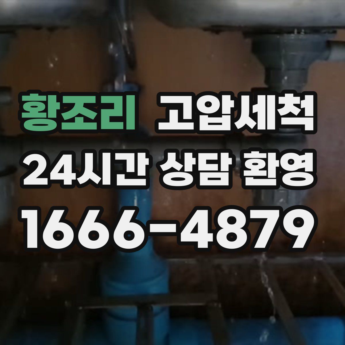 황조리 고압세척